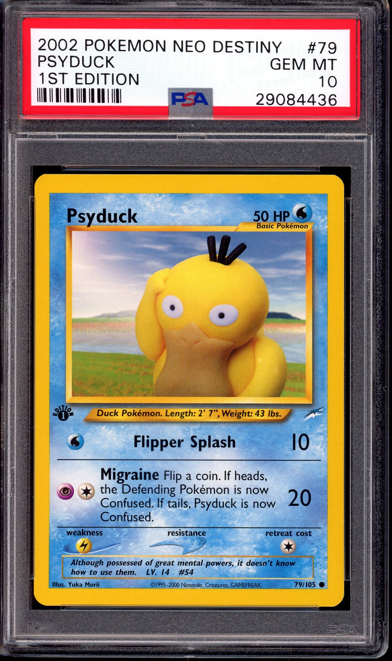 2002 Pokémon Neo Destiny 1st Edition Psyduck #79 PSA 10 GEM MINT