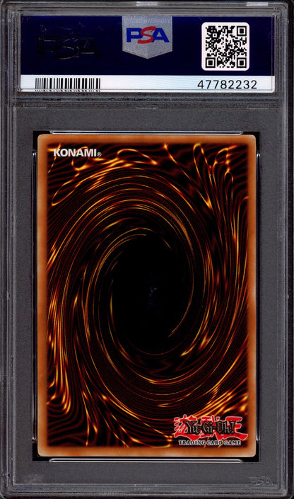 2008 Yu-Gi-Oh! Crossroads of Chaos Ghost Rare Black Rose Dragon #EN039 PSA 10 GEM MINT