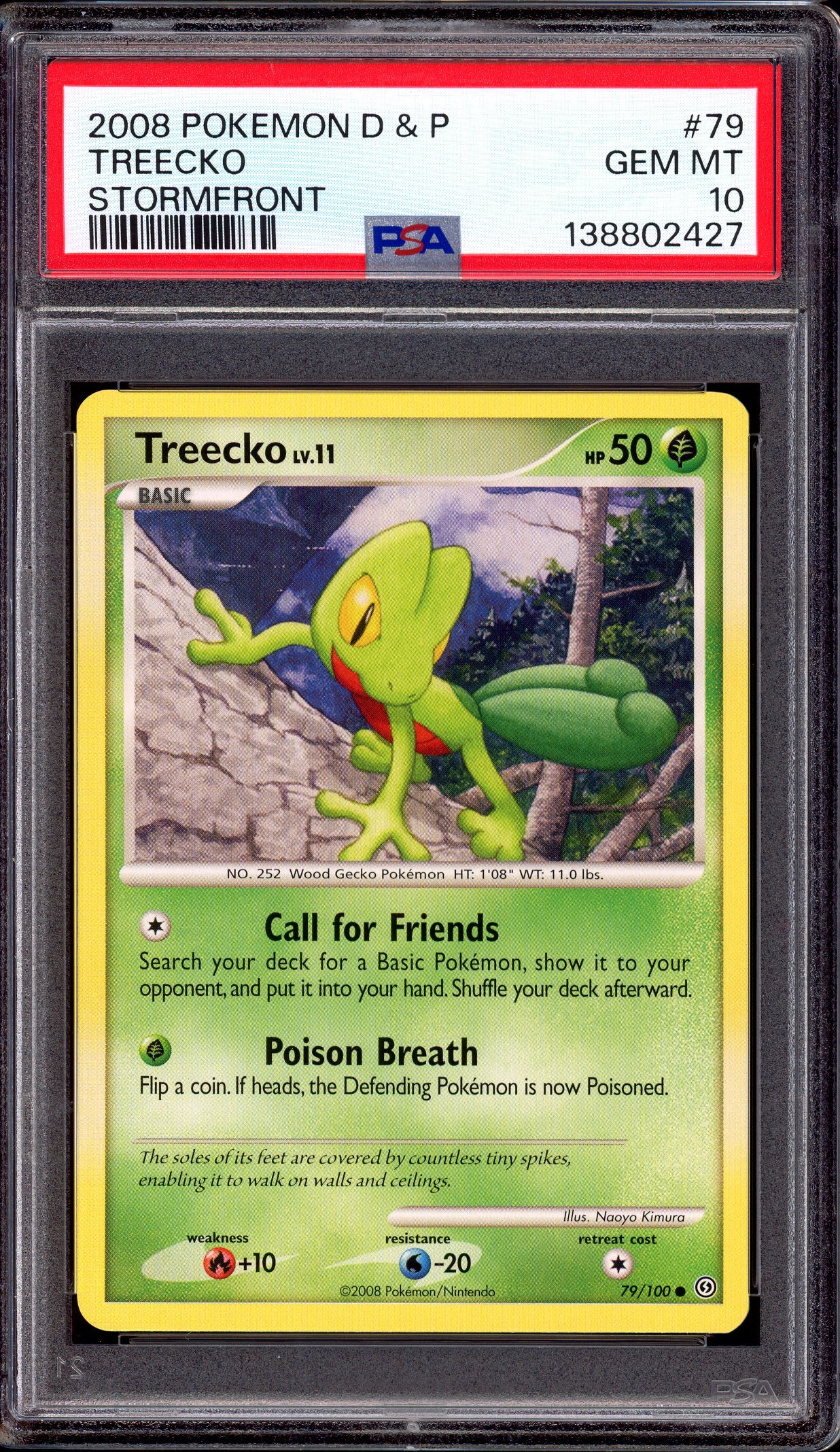 2008 Pokémon Diamond & Pearl Stormfront Treecko #79 PSA 10 GEM MINT